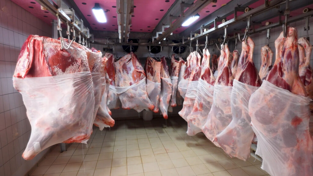 Titiz ve Şeffaf Üretim